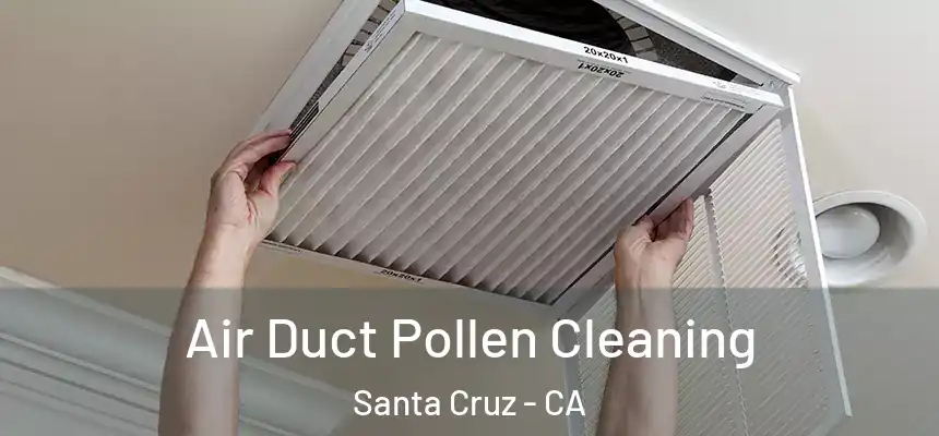  Air Duct Pollen Cleaning Santa Cruz - CA
