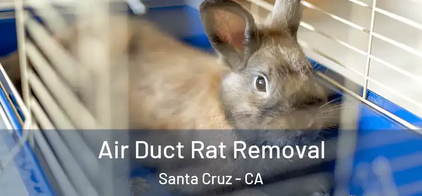  Air Duct Rat Removal Santa Cruz - CA