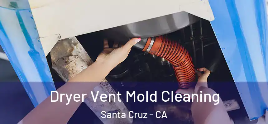  Dryer Vent Mold Cleaning Santa Cruz - CA