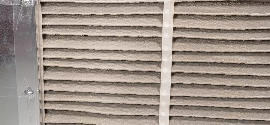 Mobile Car AC Filter Replacement in Santa Cruz