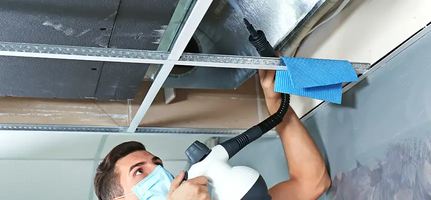 Our Air Duct Rodent Removal Services in Santa Cruz, CA