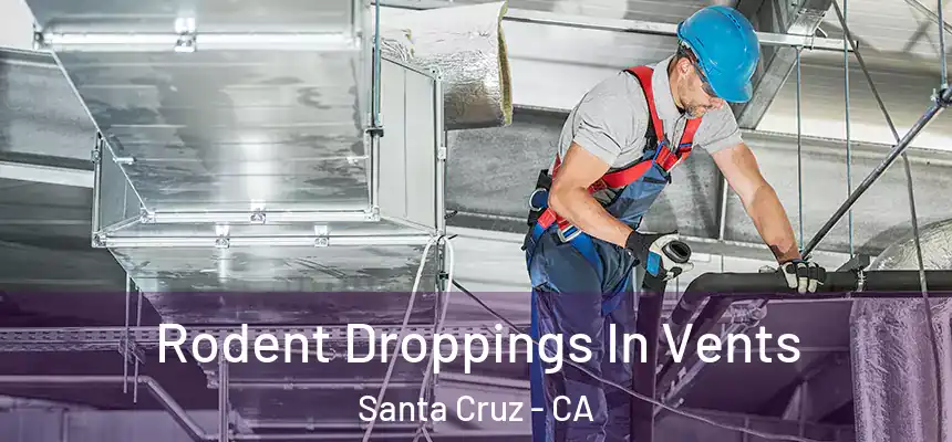  Rodent Droppings In Vents Santa Cruz - CA