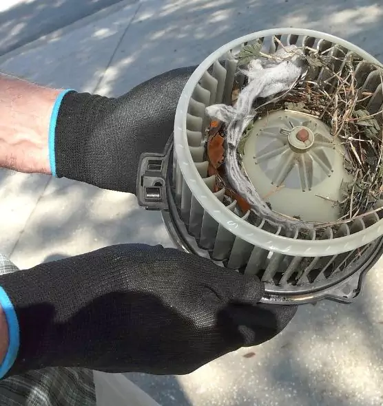 About Air Duct Rat Removal in Santa Cruz, CA