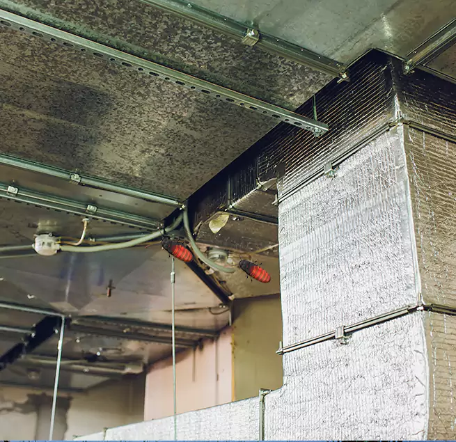 Why Homeowners & Businesses Trust Us in Santa Cruz, CA?