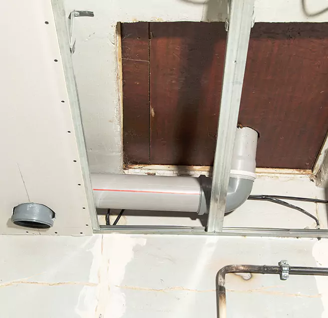 Why Homeowners & Businesses Trust Us in Santa Cruz, CA?