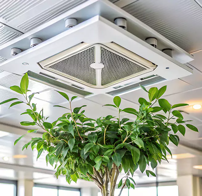 Why Homeowners & Businesses Trust Us in Santa Cruz, CA