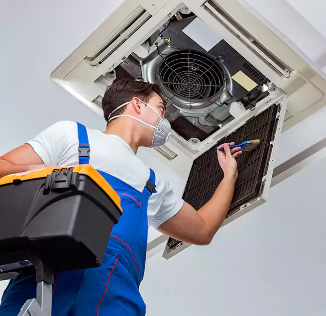 Why Homeowners & Businesses Trust Us in Santa Cruz, CA?