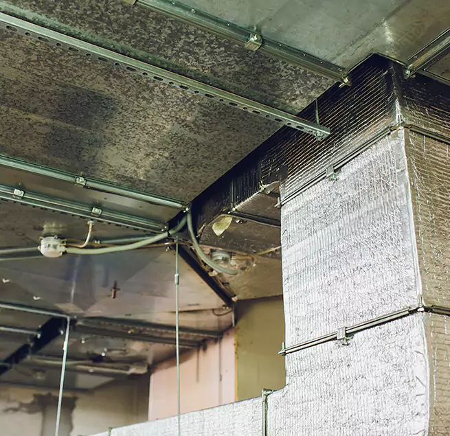 Why Homeowners & Businesses Trust Us in Santa Cruz, CA?